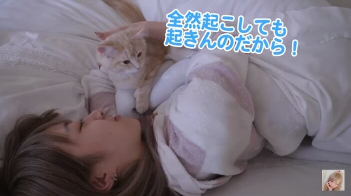 さあやの愛猫が可愛すぎると話題に 視聴者萌え死寸前 Logtube 国内最大級のyoutuber ユーチューバー ニュースメディア