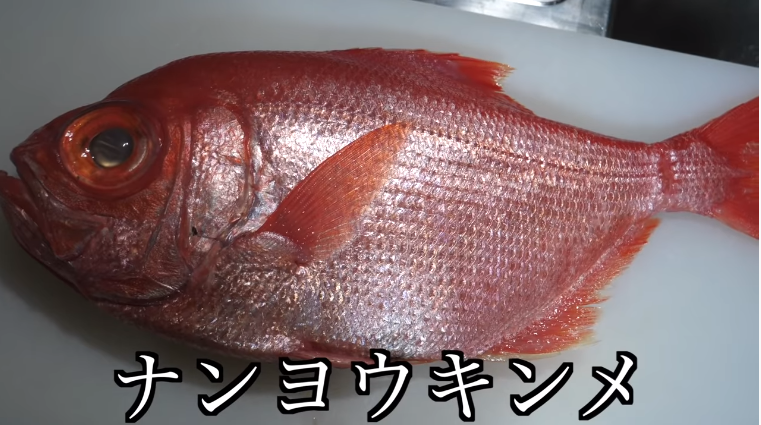 かねこ 幻の金目鯛が手に入るも 幻 が何かわからなくなる Logtube 国内最大級のyoutuber ユーチューバー ニュースメディア