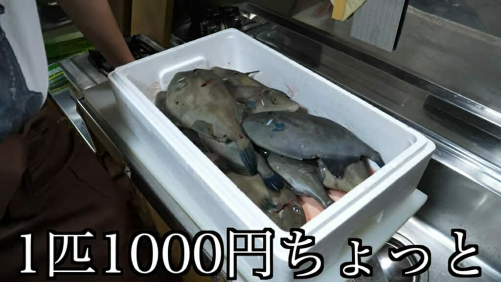 かねこ 通販で1万円分のウマヅラハギを購入し肝づくし ハズレない Logtube 国内最大級のyoutuber ユーチューバー ニュースメディア