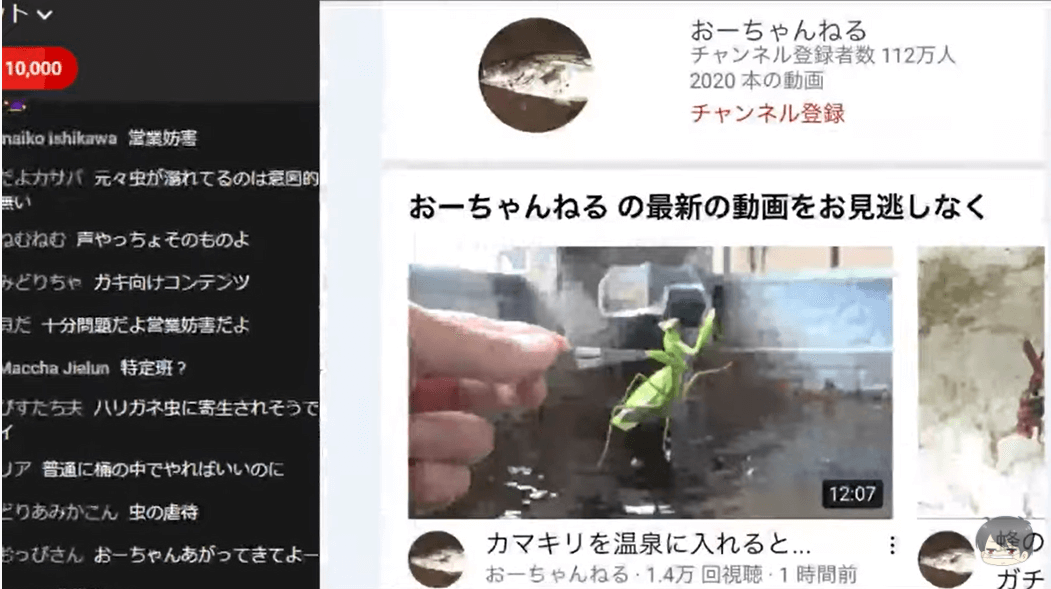 おーちゃんねる 温泉に虫を入れ炎上 宿が法的措置を検討中 Logtube 国内最大級のyoutuber ユーチューバー ニュースメディア